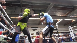 canelo-sparring-